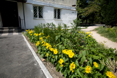 «Пышный цветник»: как живёт озелененный сад у музыкальной школы №5 по улице Блюхера