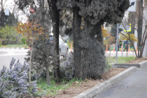 Ремонт дороги-дублера на ул. Вакуленчука завершен досрочно