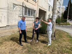 Гагаринский муниципалитет помогает жителям озеленять свои придомовые территории