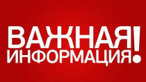 Памятка населению: Африканская чума свиней!