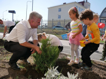 В Севастополе на территории детского сада "ЭКОТЕХ+" высадили деревья