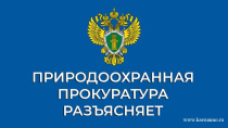 12 октября 2022 года состоится выездной прием граждан севастопольской межрайонной природоохранной прокуратурой