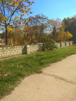 Возле детского сада №7 будут дополнительно высажены деревья