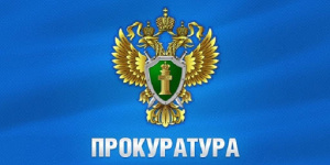 Прокуратура Гагаринского района города Севастополя провела проверку в деятельности оператора пляжа парка «Победы», по результатам которой выявлены нарушения законодательства.