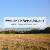 Сохранить родную долину: как проект в Байдарской долине объединяет молодёжь