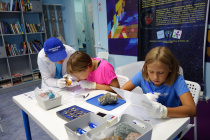 Около 300 школьников Гагаринского района посетят Аэрокосмический центр Антона Шкаплерова