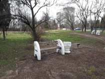 Подготовка к благоустройству сквера на ул. Колобова начнется в текущем году