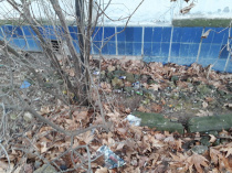 Алексей Ярусов: «Положительного результата в санитарном состоянии можно добиться только постоянным контролем»