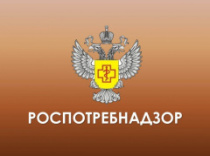 2 августа – День фонтанов
