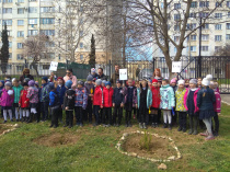 Алексей Ярусов: «Для первоклашек высадка деревьев – это настоящий праздник»