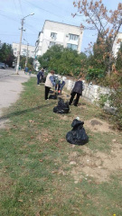 Гагаринский муниципалитет очистил прилегающую территорию детского сада и высадил деревья