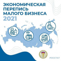 Весной 2021 года Росстат проведет экономическую перепись малого бизнеса