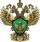 Росприроднадзор инициировал создание экологического интегратора Гриниум