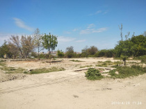 Гагаринский муниципалитет очистил от мусора и привел к надлежащему санитарному состоянию бывшую гаражную территорию в бухте Казачья