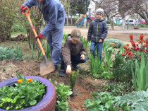Гагаринский муниципалитет и районный депутатский корпус озеленяют дворы