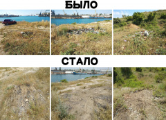 Сотрудники Гагаринского муниципалитета ликвидировали несанкционированную свалку на западной стороне Камышовой бухты