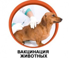 На территории Гагаринского муниципального округа государственной ветеринарной службой будут проводиться противоэпизоотические мероприятия