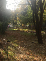 Алексей Ярусов: «Озеленение - еще один способ борьбы со свалками»